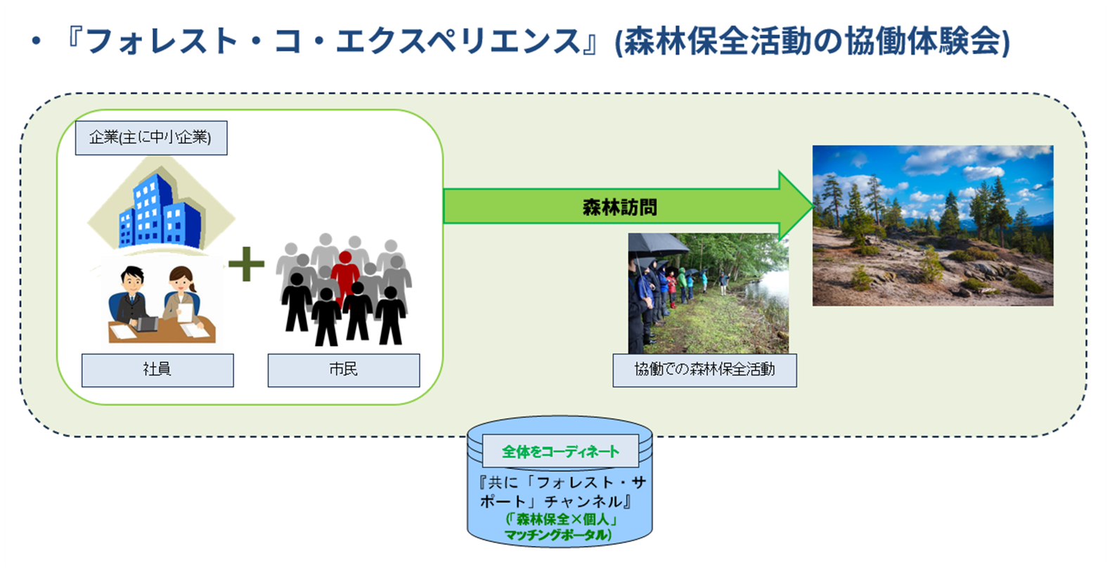 「フォレスト・サポート・アクションズ」が、かわさき市民活動センター助成金事業として採択決定